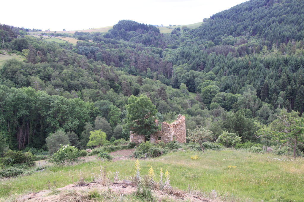 Gite Chez Coste Gilles Saint-Privat-du-Dragon Cameră foto